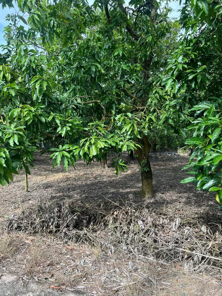 Đất nền La Ngà Định Quán 1000m² giá 750 triệu - Mặt tiền đẹp, gần sông