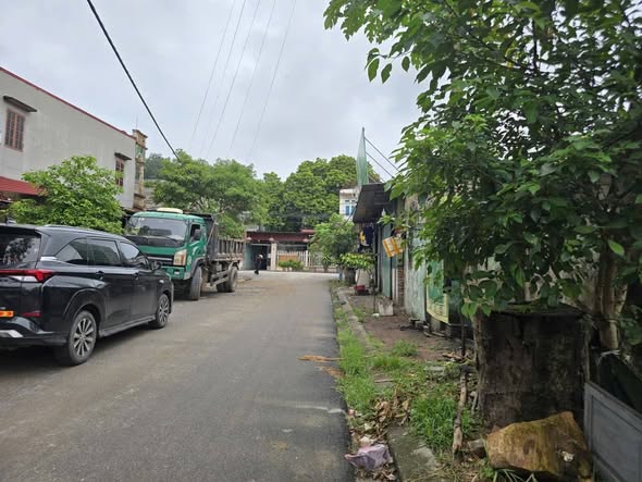 Đất nền khu đấu giá Lâm Làng, Bắc Ninh 136m² chỉ 5 tỷ - Cơ hội đầu tư tuyệt vời!