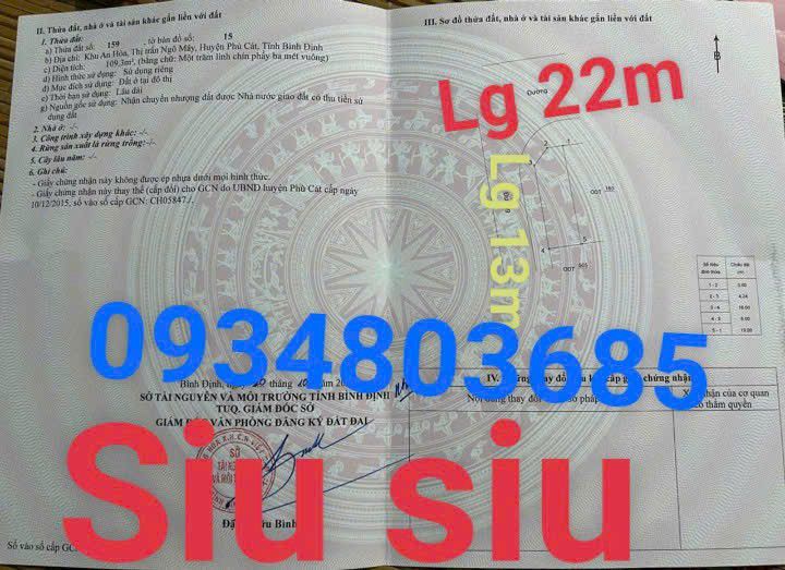 Đất nền góc 2 mặt tiền đường lớn tại Ngô Mây, Phù Cát - Diện tích 109m² chỉ 800 triệu!