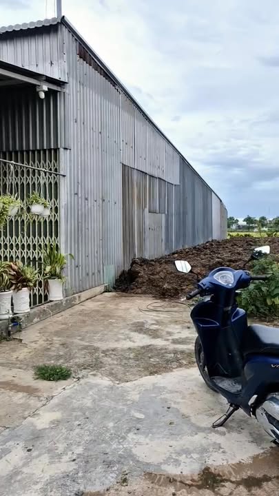 Mặt tiền kinh doanh đường Hồ Biểu Chánh Gò Công 182m² giá 2.3 tỷ - Cơ hội đầu tư vàng!