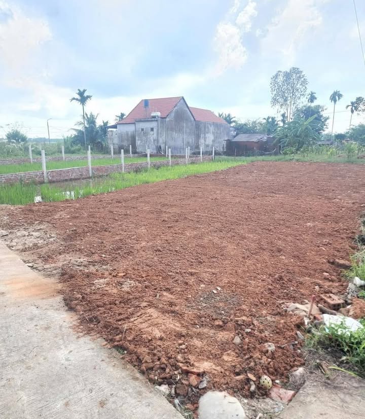 Đất nền Nghĩa Dõng 260m² giá 1.3 tỷ - Đầu tư lâu dài, mặt đường ô tô thoáng mát!