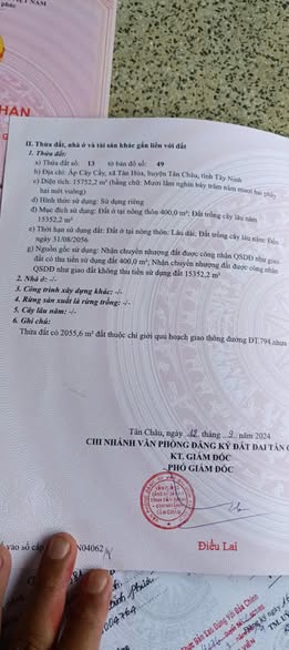 Đất nền 21000m² tại ấp Cây Cầy, Tân Hòa, Tây Ninh - Cơ hội vàng cho đầu tư!