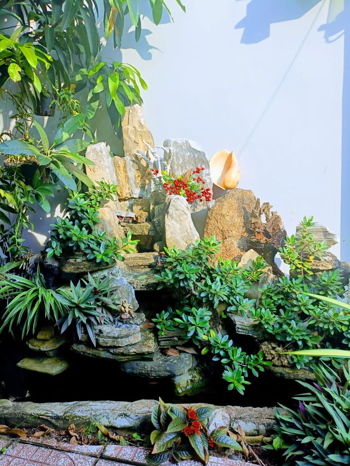 Đất Long Hải Bà Rịa - Vũng Tàu 108m² giá 1.2 tỷ - Lô góc hai mặt tiền