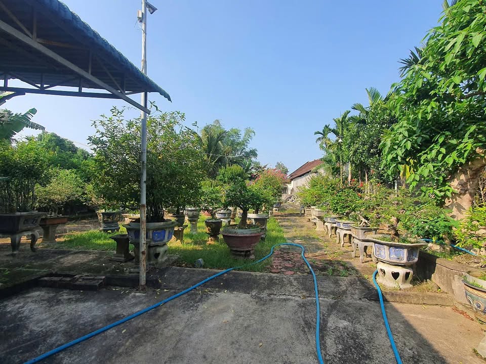 Bán nhà vườn 664m² tại phường Trương Quang Trọng - Tiềm năng đầu tư lớn!