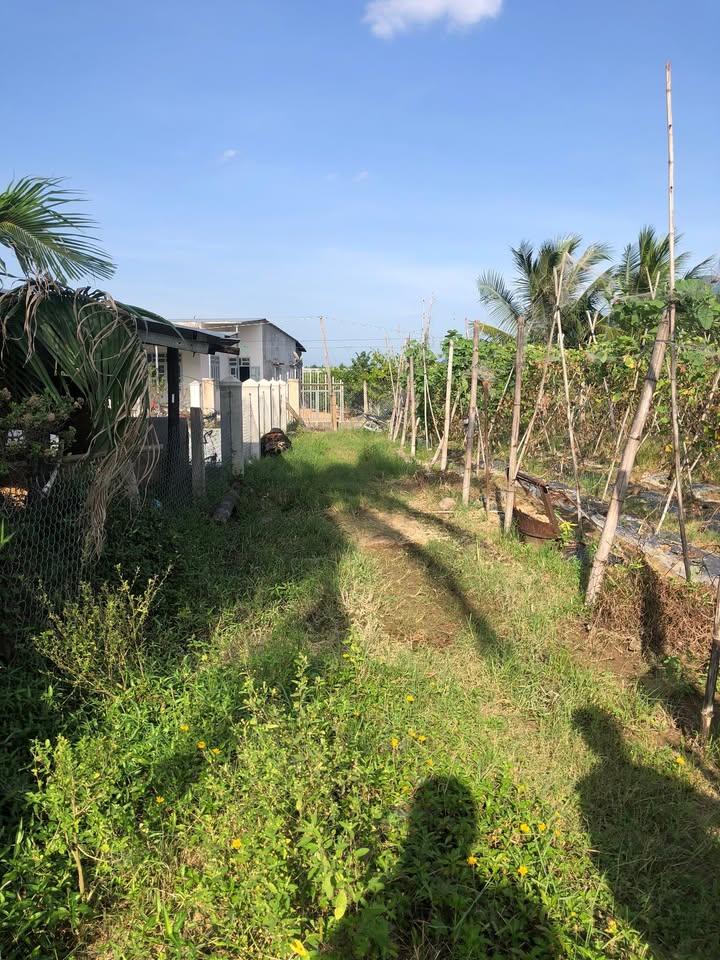 Đất nền Cam Phước Đông 791.7m² giá 44.5 tỷ - Nở hậu, thổ cư 200m²!