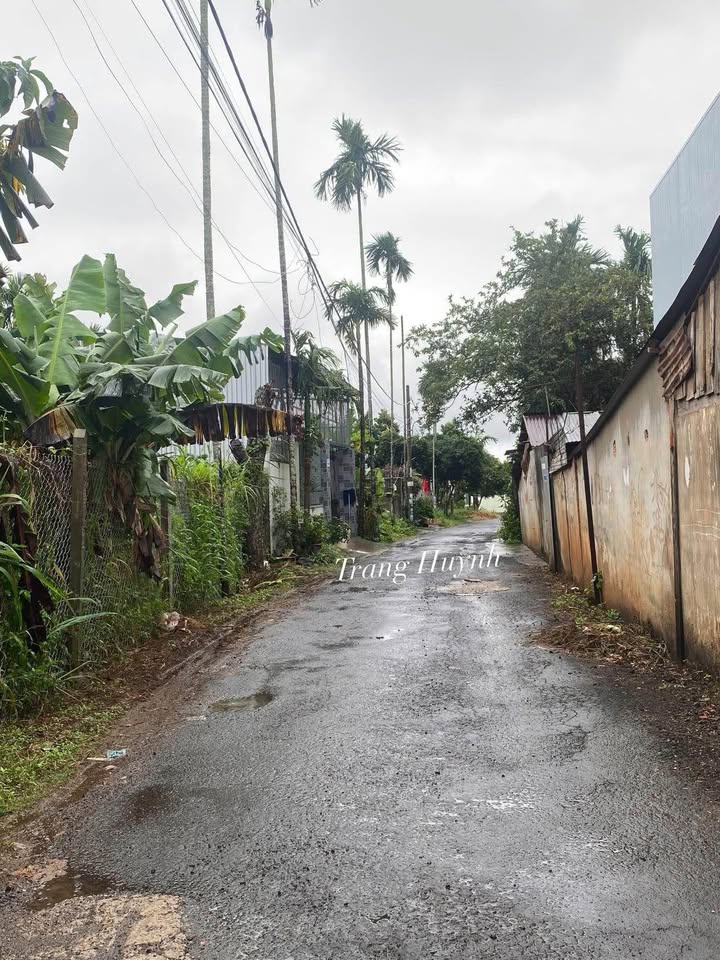 Nhà cấp 1 phường Tân Lập, Buôn Ma Thuột 144m² giá 1.799 tỷ - Cách quốc lộ chỉ 150m!