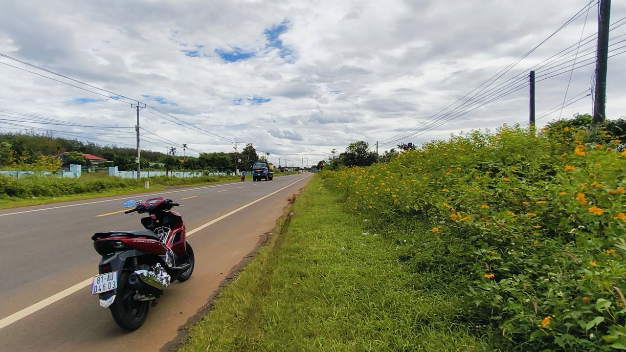 Đất thổ cư 480m² tại tỉnh lộ 664, Ia Grai - Giá chỉ 5.76 tỷ, sổ hồng chính chủ!