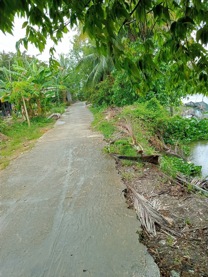 Đất mặt tiền xã Thạnh Lộc 774m² giá 4.23 tỷ - Cơ hội đầu tư tuyệt vời!