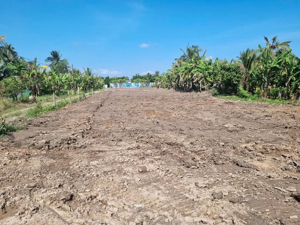 Đất nền đường Nguyễn Biểu, phường Vĩnh Lợi, An Giang 2.516,7m² - Giá chỉ 6 triệu/nền!