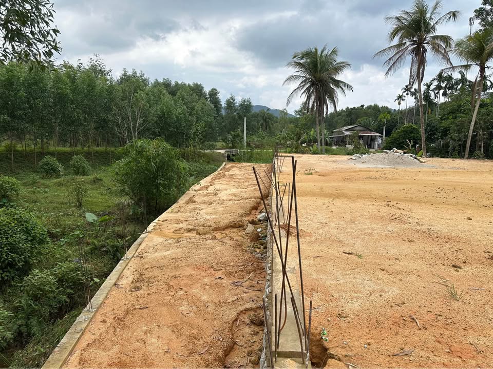 Lô đất Bình Điền 2000m² giá 7 tỷ - Vị trí đắc địa ngay chợ