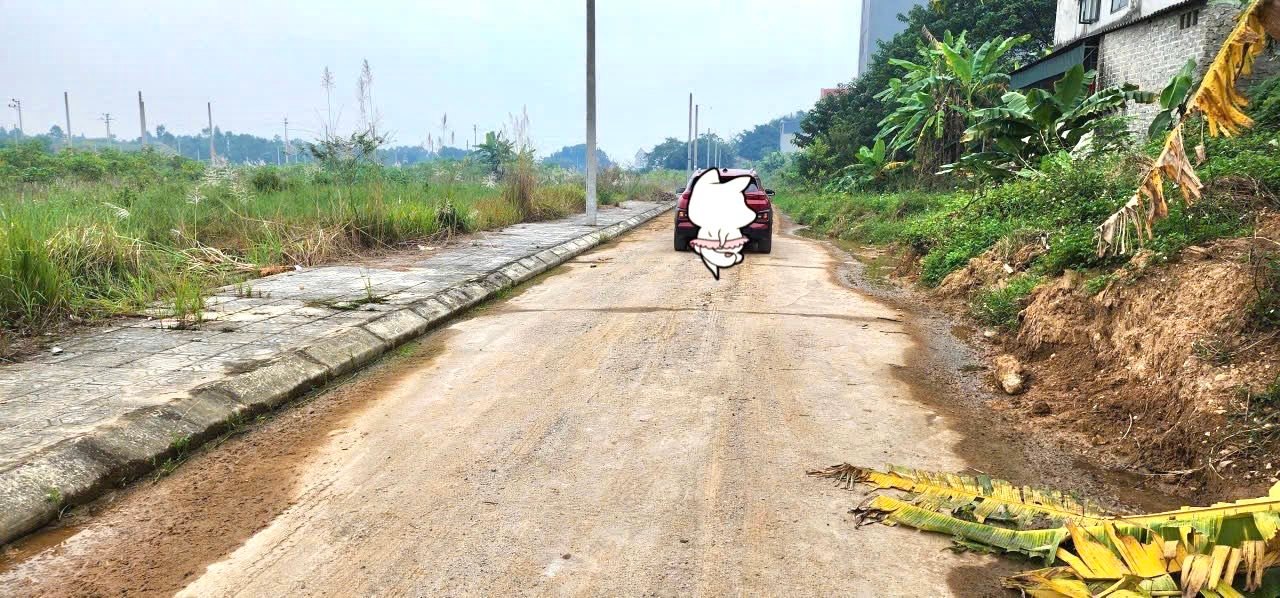 Đất thổ cư Tiên Kiên, Lâm Thao 100m² giá chỉ 800 triệu - Đầu tư sinh lời ngay!