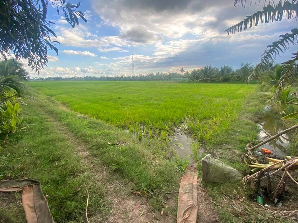 Đất nền Lương Hòa A, Châu Thành, Trà Vinh 2 công lẽ 113m² - Mặt tiền bờ kênh, giá thương lượng!