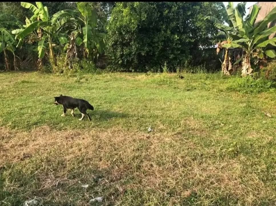 Đất nền phường 9, Trà Vinh 170m² giá 450 triệu - Cơ hội đầu tư tuyệt vời!