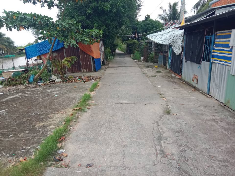 Đất trồng cây lâu năm 336m² tại ấp Phước Lợi, Châu Thành, Kiên Giang - Giá 400 triệu, thương lượng