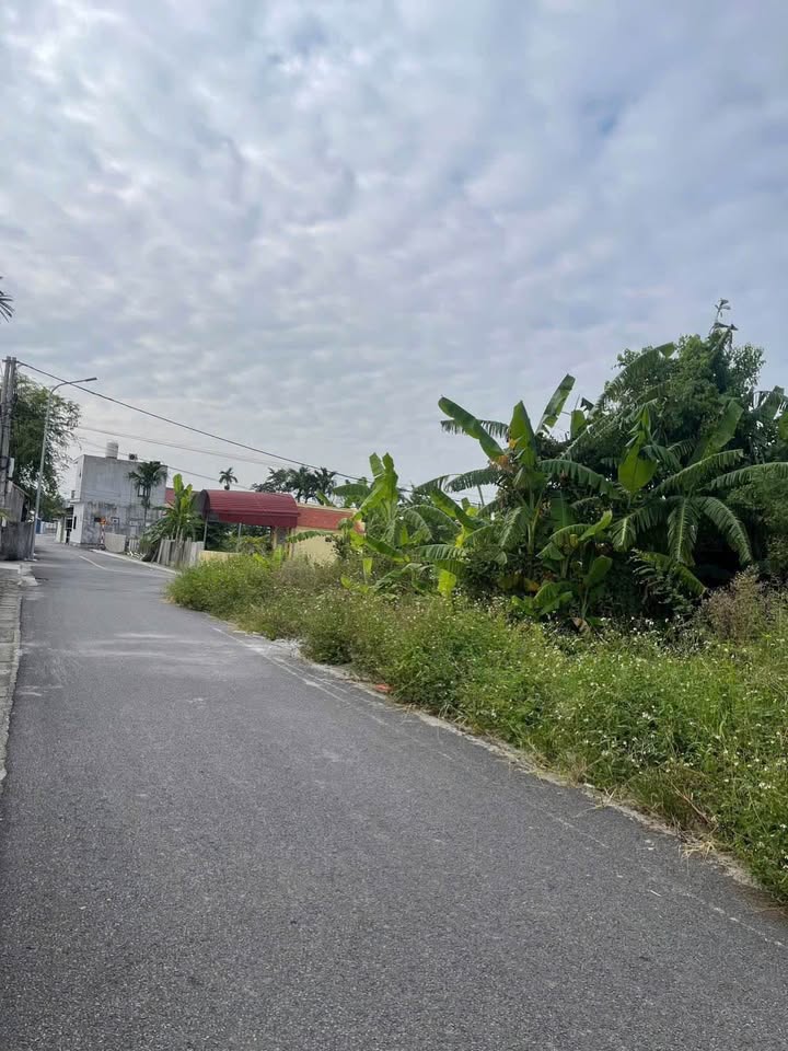 Đất nền chính chủ tại An Lão - Mỹ Đức, 69.8m² chỉ từ 100 triệu - Cơ hội đầu tư tuyệt vời!