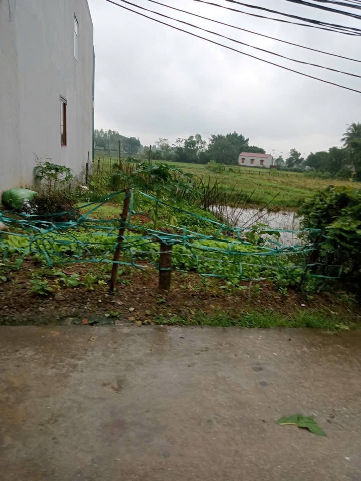 Đất thổ cư tại xã Quỳnh Lưu, Nho Quan, Ninh Bình 100m² - Đầu tư sinh lời!