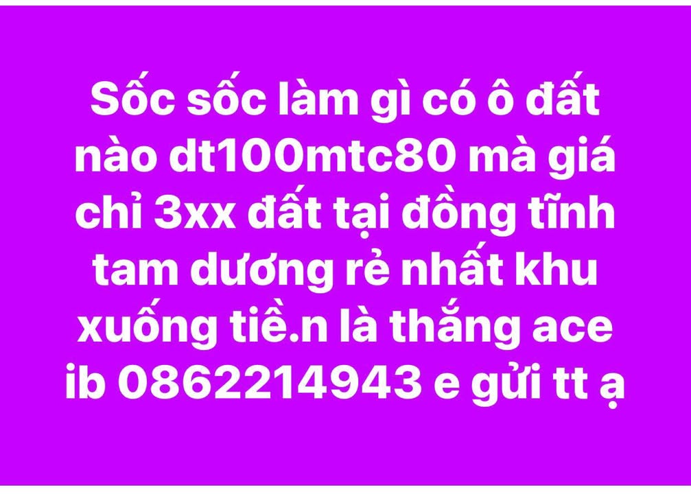 Đất nền Đồng Tĩnh Tam Dương 100m² giá chỉ 300 triệu - Cơ hội đầu tư tuyệt vời!