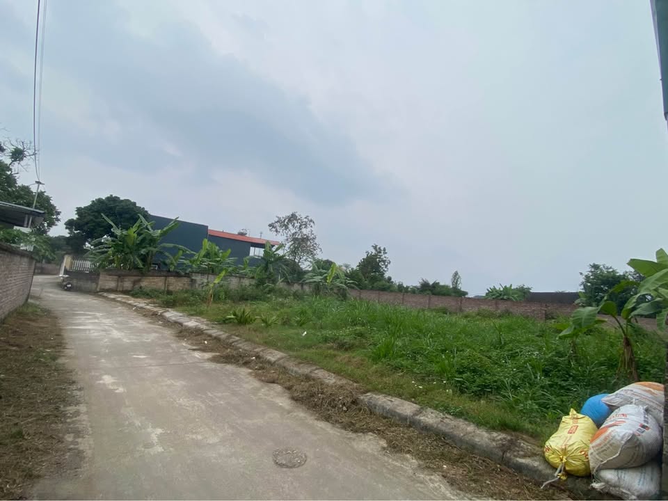 Đất nền thôn Gô, Kim Long, 261m² giá 1.7 tỷ - Đường lớn ô tô tránh nhau!