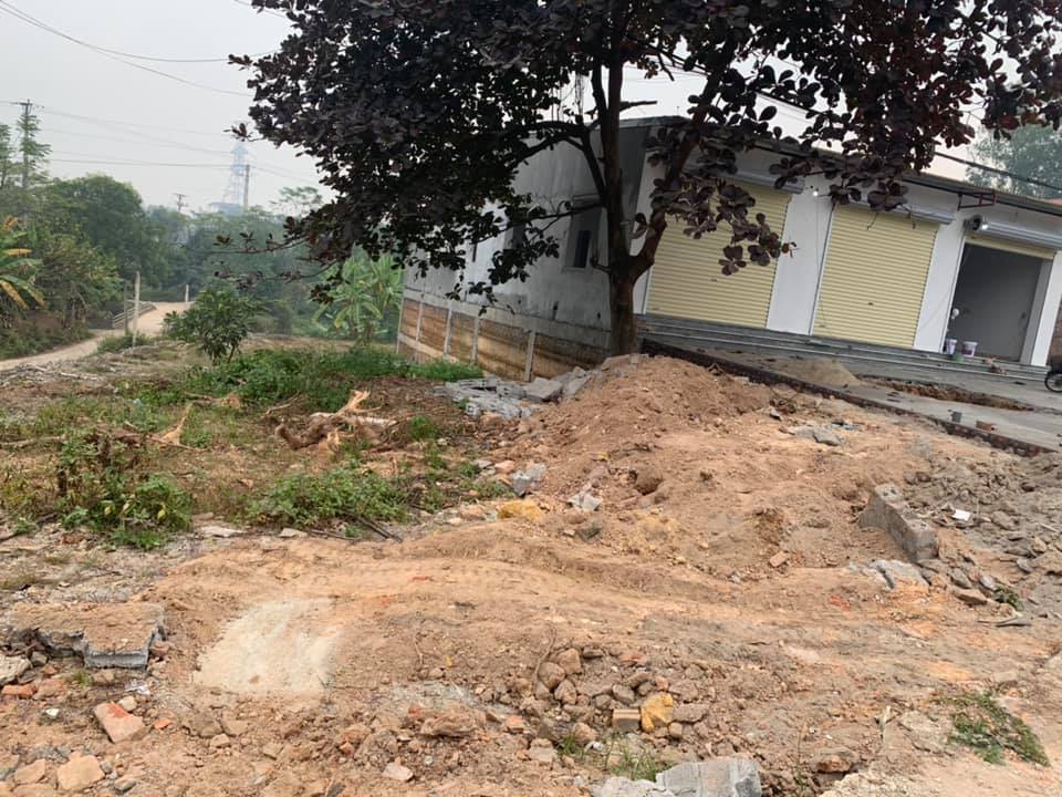 Đất kinh doanh mặt tiền 8m tại Đạo Tú, Tam Dương, 160m² - Đầu tư sinh lời ngay!