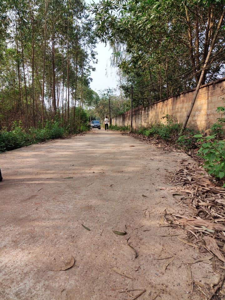 Đất nền Kim Long, Tam Dương 1108m² giá chỉ 1 tỷ - Cơ hội đầu tư không thể bỏ lỡ!