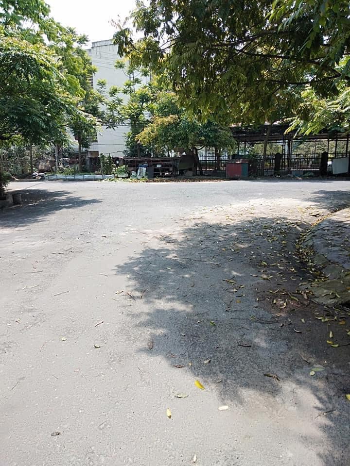 Đất kinh doanh phố Thi Sách Vĩnh Yên 98m² - Cơ hội đầu tư sinh lời!