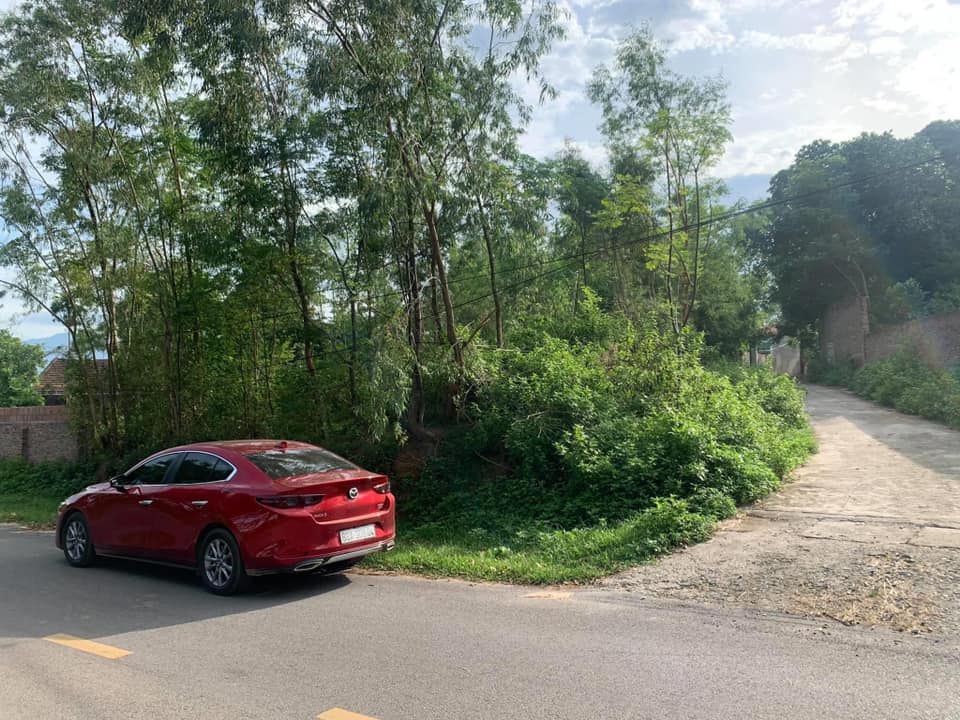 Đất mặt tiền chợ Tam Quan - Tam Đảo 600m² giá 2 tỷ - Cơ hội đầu tư hấp dẫn!