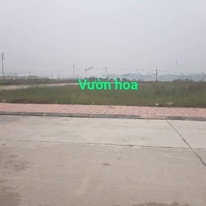 Đất nền Thanh Vân Tam Dương 108m² giá 2.47 tỷ - Kinh doanh thuận lợi!