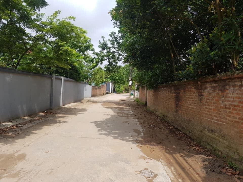 Đất biệt thự nhà vườn Liên Bảo Vĩnh Yên 1000m² - Đầu tư sinh lời tuyệt vời!