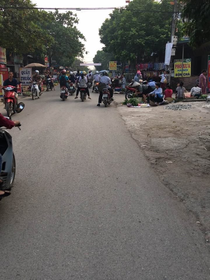 Đất Hợp Châu - Tam Đảo 513m² giá 1.539 tỷ - Đầu tư sinh lời ngay!