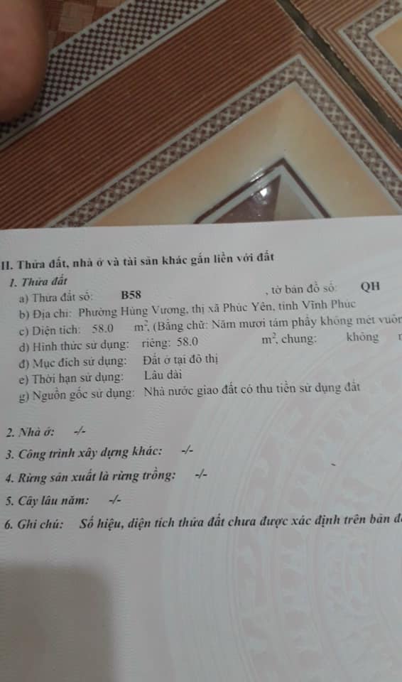 Lô đất 58m² tại Khu đô thị Hùng Vương Phúc Yên chỉ 1.1 tỷ - Đầu tư sinh lời ngay!