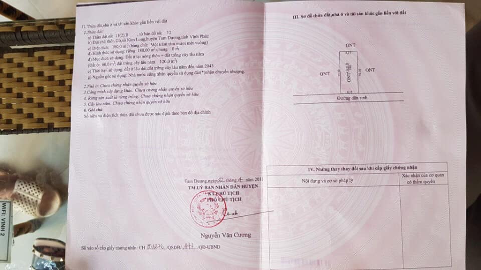 Đất nền Kim Long, Tam Dương 180m² giá chỉ 900 triệu - Sẵn sàng sang tên!