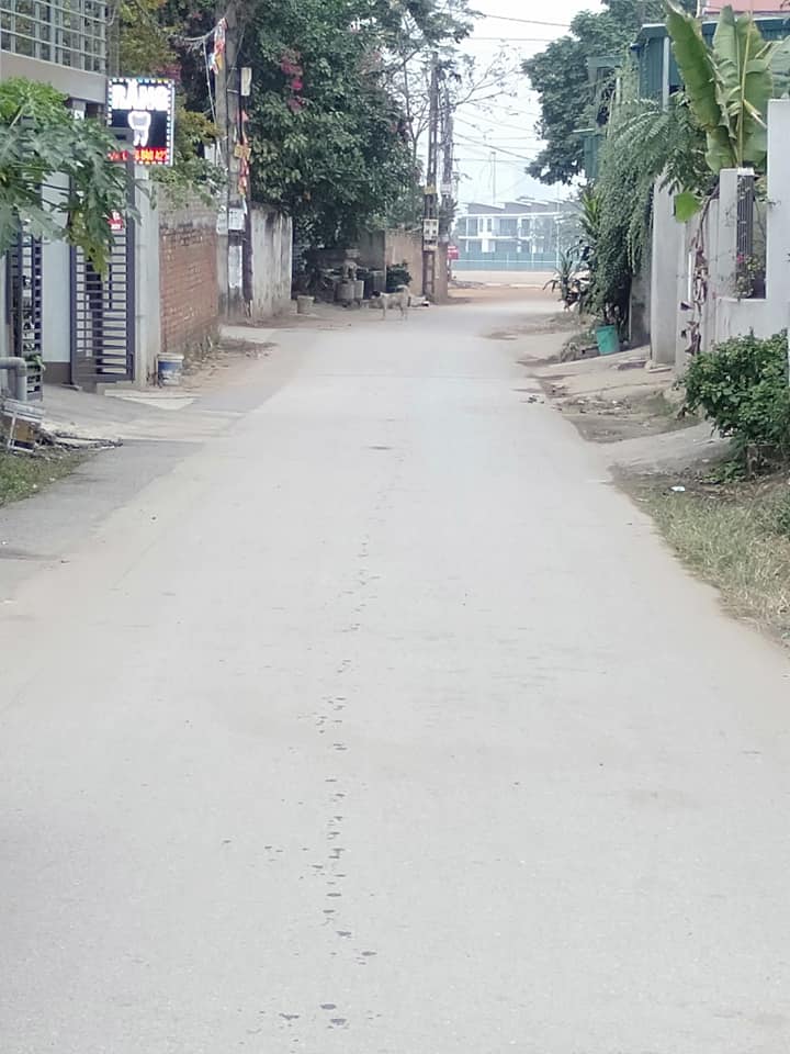 Đất nền 100m² tại Thanh Trù, Vĩnh Yên - Giá chỉ 890 triệu, pháp lý rõ ràng!