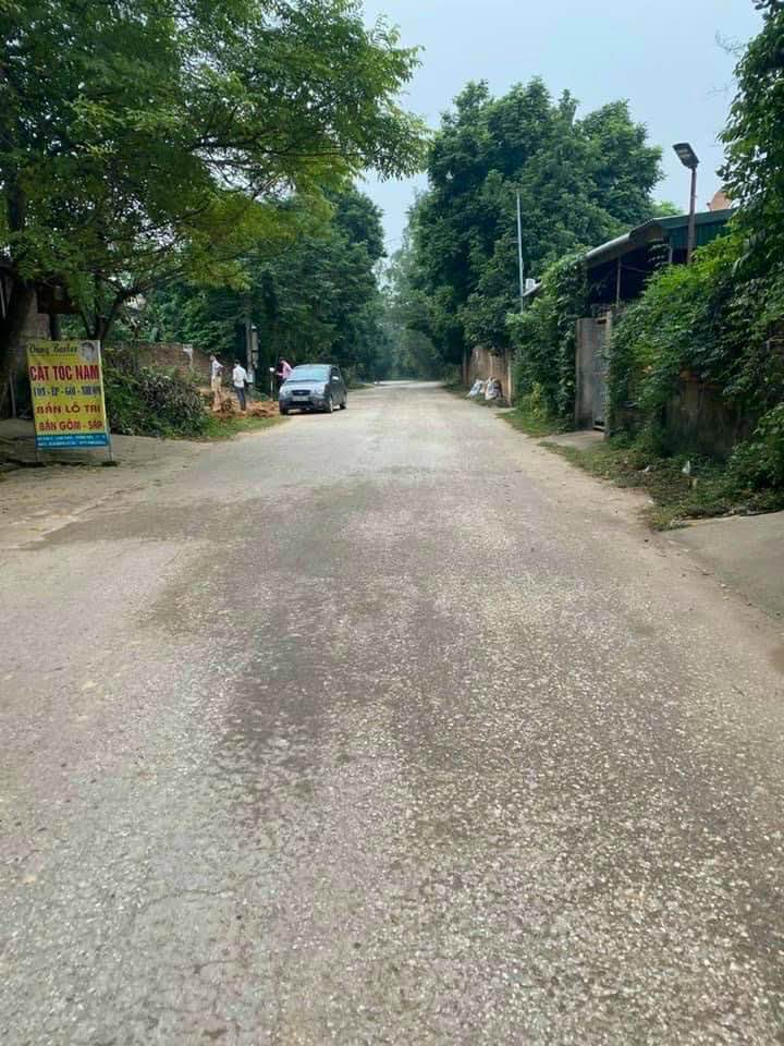 Đất thổ cư Hướng Đạo Tam Dương 125m² giá chỉ 1 tỷ - Mặt đường tỉnh 309B