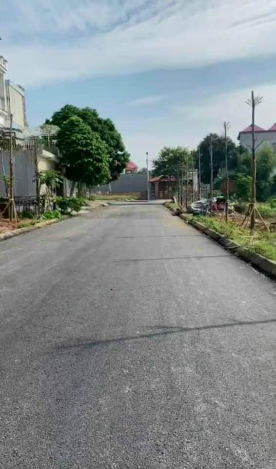 Đất nền Mậu Lâm, Khai Quang, 100m² - Đầu tư sinh lời ngay hôm nay!