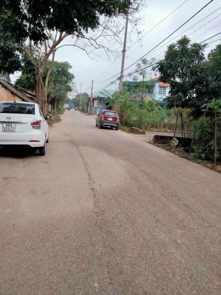 Đất kinh doanh mặt tiền đường 302C Trung Mỹ 100m² giá chỉ 1.2 tỷ - Đầu tư sinh lời ngay!