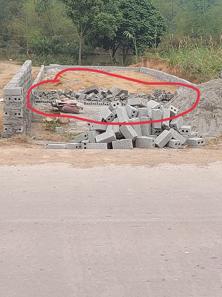 Đất thổ cư 90m² Mặt đường 310, Tam Dương - Giá chỉ 650 triệu, cơ hội đầu tư tốt!