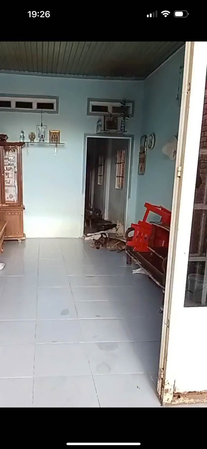 Đất nền Hiệp Ninh Tây Ninh 145m² giá 1.35 tỷ - Vị trí đắc địa gần trường học