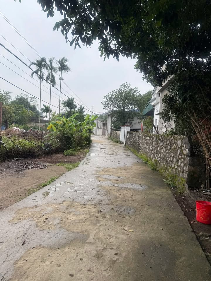 Lô đất đẹp 723m² tại Đồng Phong, Nho Quan - Cơ hội đầu tư hấp dẫn!