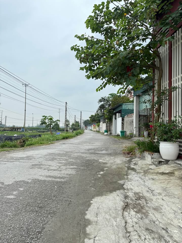 Đất nền Quảng Phú, Thanh Hóa 100m² giá 1.5 tỷ - Đầu tư sinh lời tiềm năng!