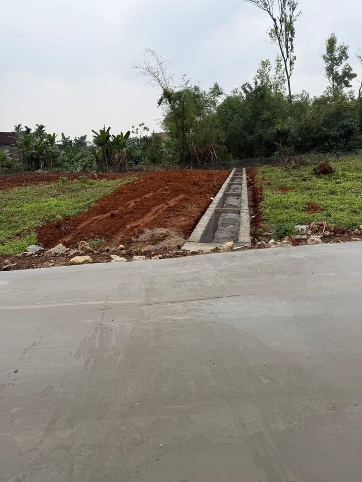 Đất nền Tăng Thành Nghệ An 200m² giá chỉ 500 triệu - Cơ hội đầu tư tuyệt vời!