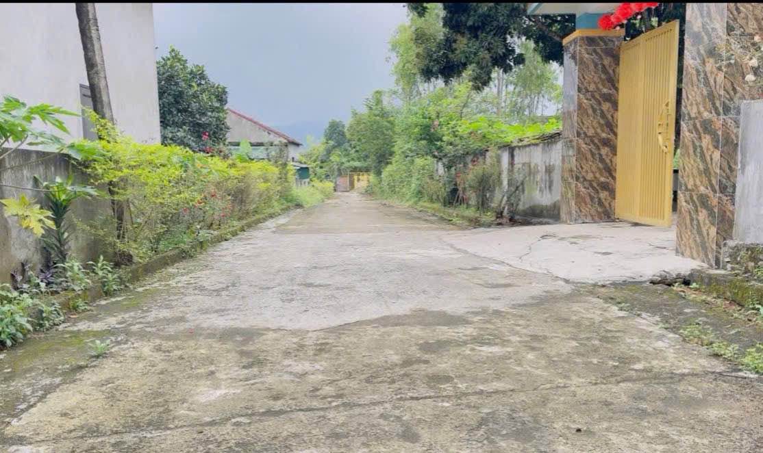 Đất 2 mặt tiền đường Tây Sơn, xã Toàn Lưu, 250m² - Đầu tư sinh lời ngay bên KCN!