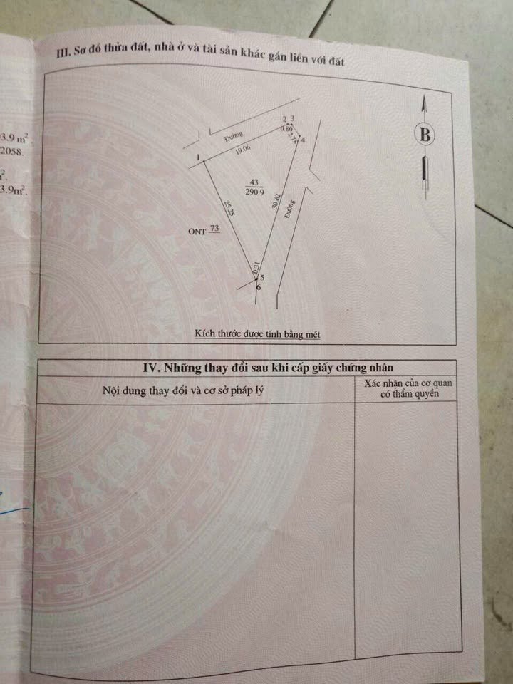 Đất nền lô góc xã Nam Xuân 290,9m² - Giá tốt, cơ hội đầu tư hấp dẫn!