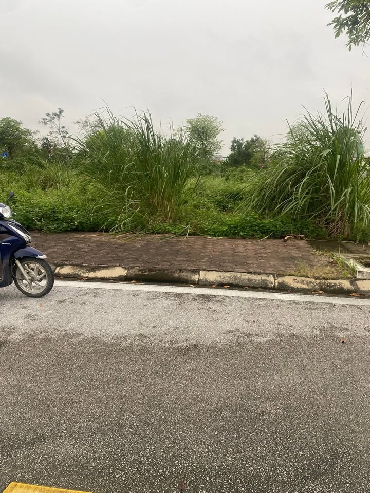 Đất nền TNR Diễn Kỷ 108m² giá chỉ 1 tỷ - Cơ hội đầu tư hấp dẫn!