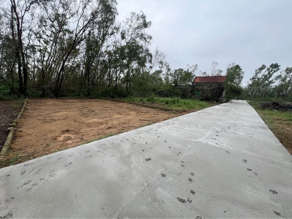 Đất Nghi Hương 160m² giá 1.75 tỷ - Mặt tiền rộng, đầu tư sinh lời!