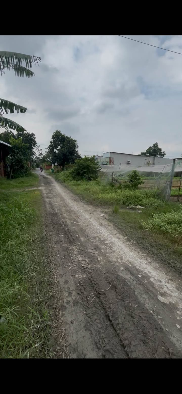 Đất nền Tân Thạnh Đông, Củ Chi 300m² giá chỉ 2.4 tỷ - Sổ hồng chính chủ!