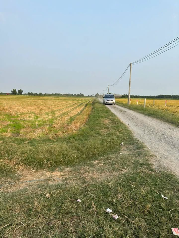 Đất thổ cư 400m² tại Bình Hòa Bắc, Đức Huệ - Giá chỉ 690 triệu, cơ hội vàng đầu tư!