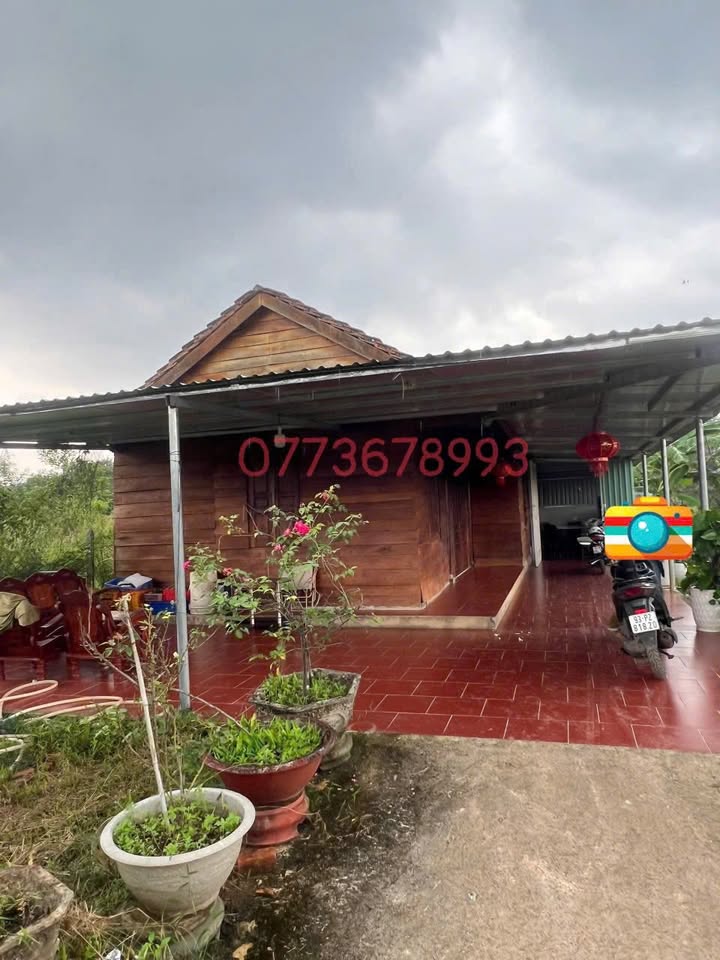 Nhà riêng khu phố 4, Tân Đồng 494m² giá 1 tỷ - Không gian sống yên tĩnh!