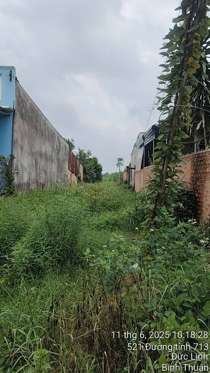 Đất thổ cư 636m² đường 766, xã Đức Hạnh, giá 1,7 tỷ - Cơ hội không thể bỏ qua!