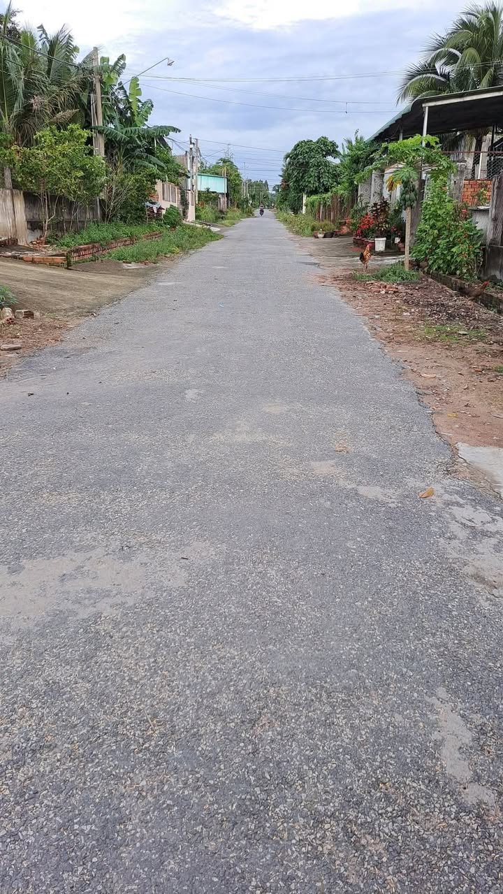 Đất thổ cư 195m² tại thôn 7 Nam Chính, giá 620 triệu - Cơ hội đầu tư tuyệt vời!