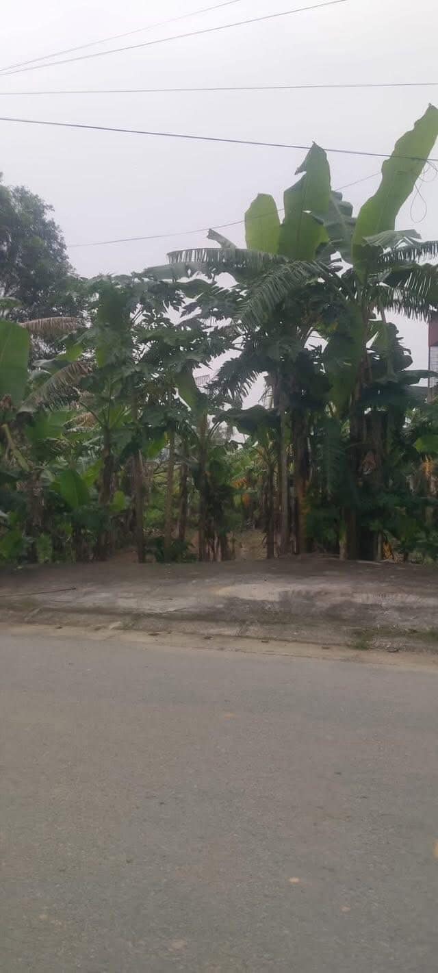 Lô đất 150m² tại xã Thọ Phú, Triệu Sơn - Tiềm năng kinh doanh lớn!